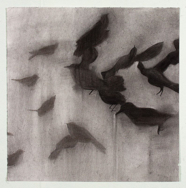 bird balcony